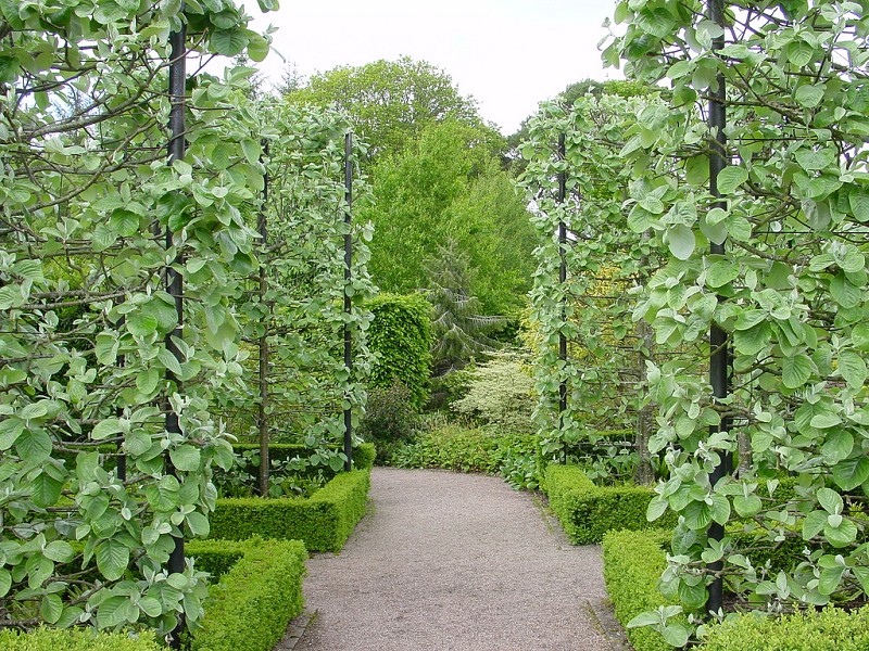 英国rosemoor花园